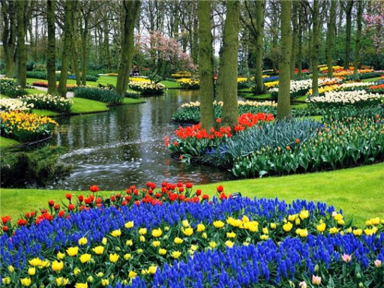 Нидерланды весенний парк Keukenhof