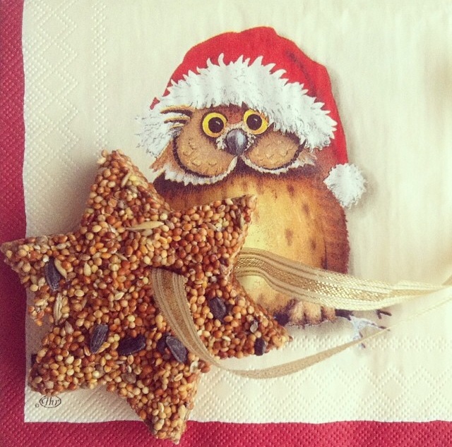 Печенье для птичек