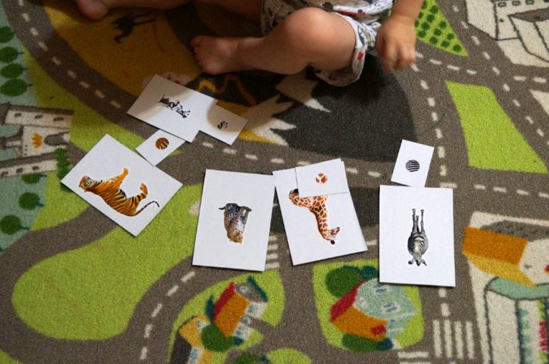 Оранжевая неделька 2 из 6.