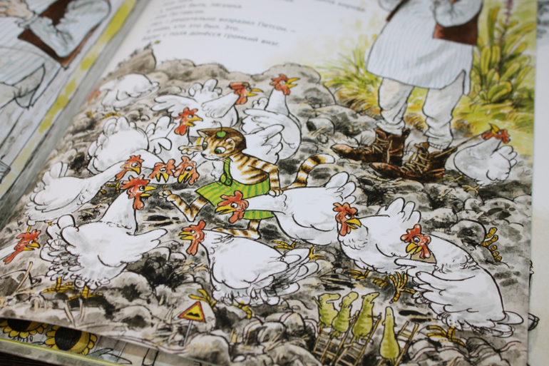 Финдусомания или добрые истории про милого котенка.