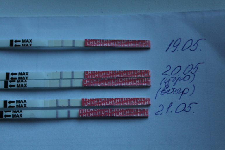 не пойму, нужны ваши мнения