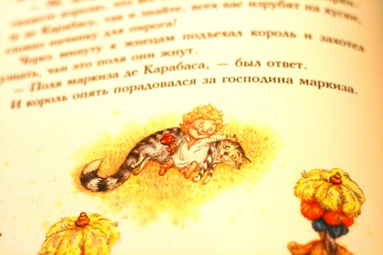 Летние новинки (4 года)