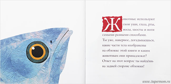 Наше энциклопедическое, книжное