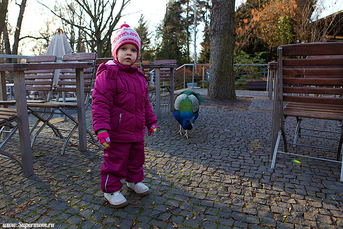 Рождественская Прага