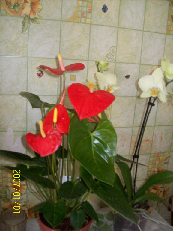 Скоро весна.