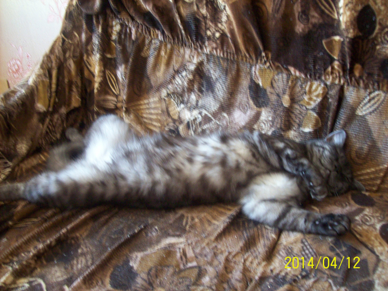 Сладкий сон к себе мани.......