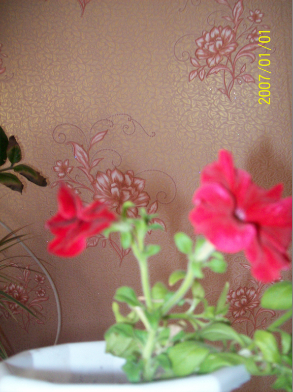 Скоро весна.