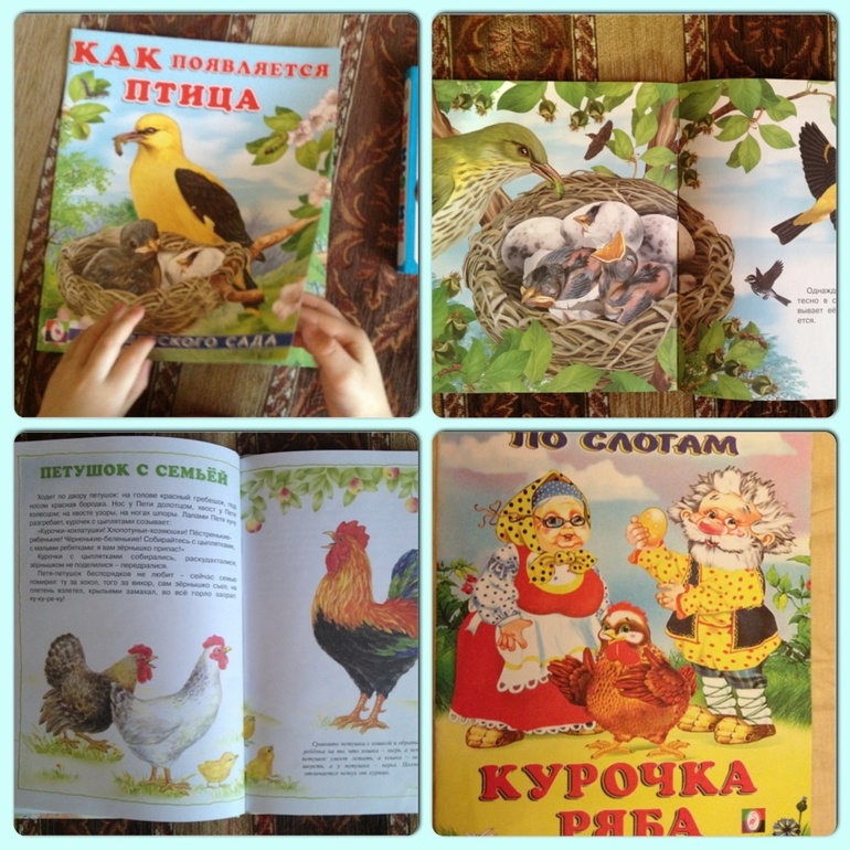 ФМ "Птицы" Д-1 Домашние птицы