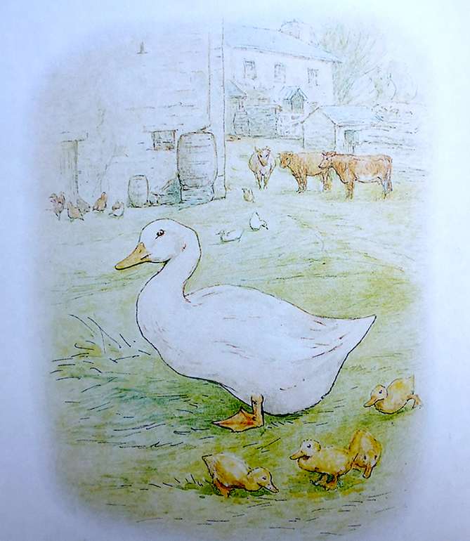 Все о кролике Питере и другие наши зайцы-иностранцы