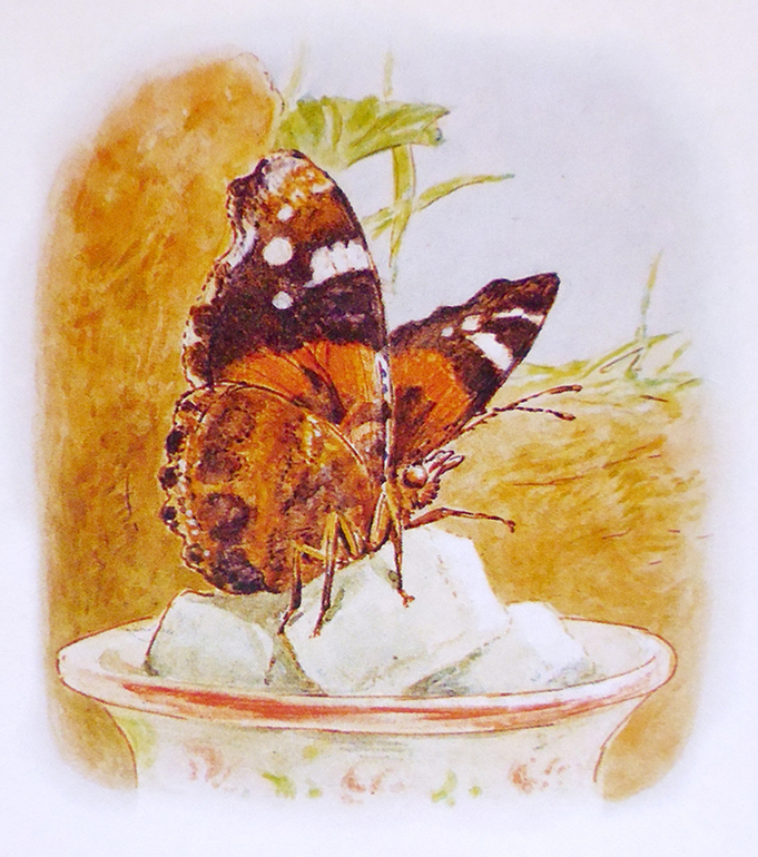 Все о кролике Питере и другие наши зайцы-иностранцы