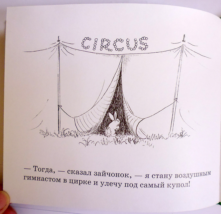 Все о кролике Питере и другие наши зайцы-иностранцы