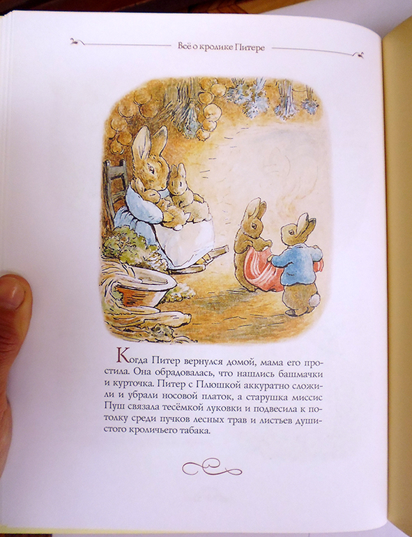 Все о кролике Питере и другие наши зайцы-иностранцы