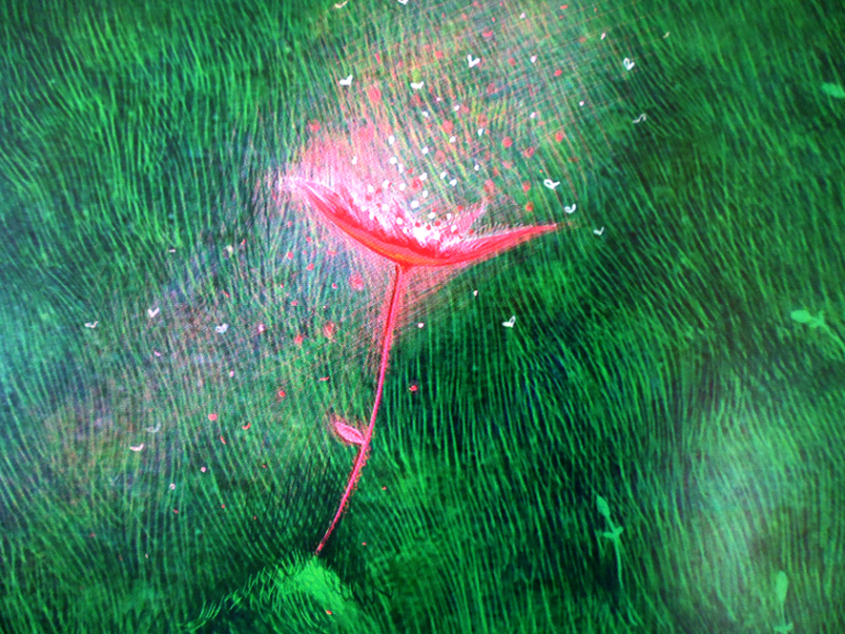 Дочь купеческая, красавица писанная, или о красных цветах!