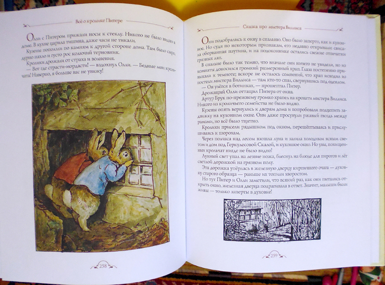 Все о кролике Питере и другие наши зайцы-иностранцы