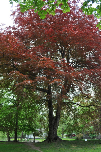 Калининградский Зоопарк