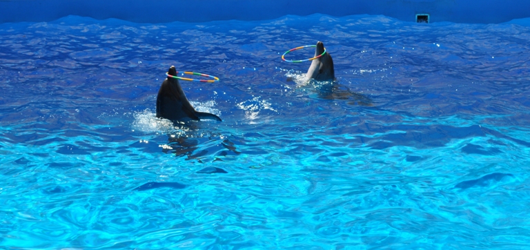 Голубицкая 17.06.2013