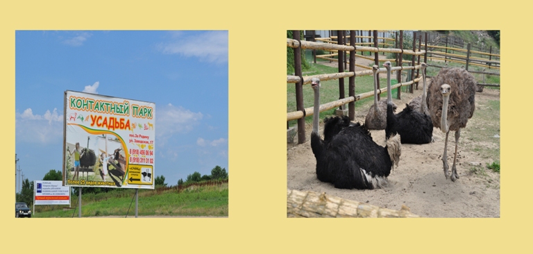 Голубицкая 17.06.2013