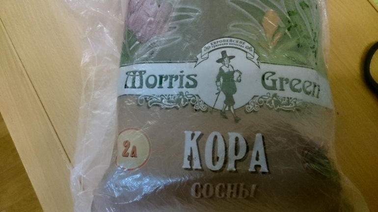 Первые орхидеи дома. Что делать?