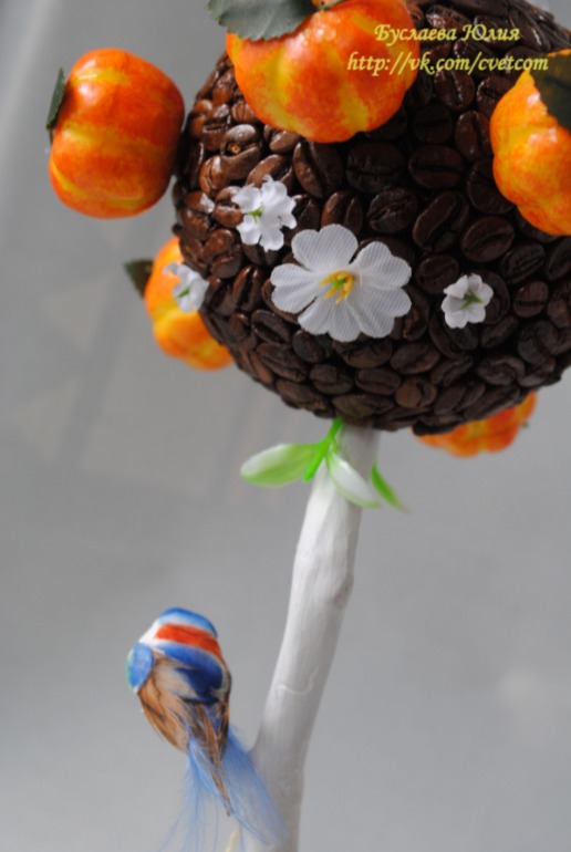 Кофейное дерево