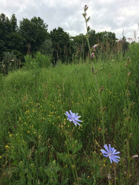 Парк Царицыно ЖДЕТ НАС!!!