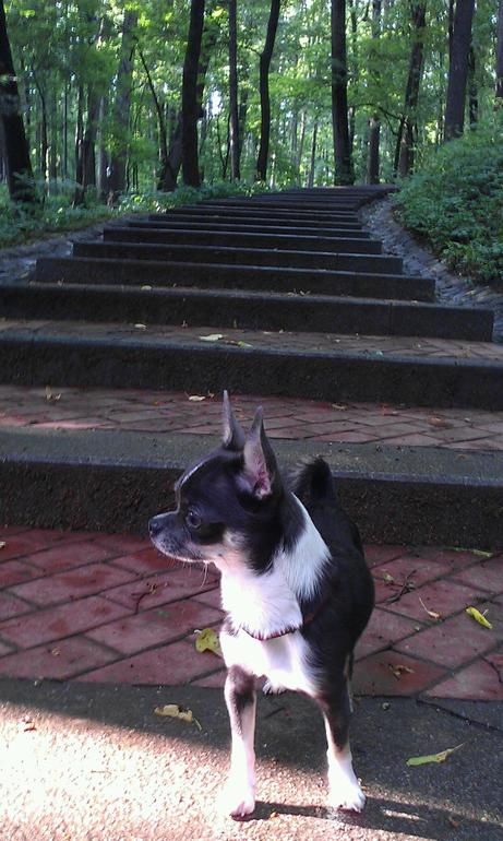 Мое чудо, моя отрада, моя радость....