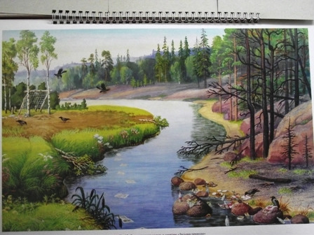 Добро пожаловать в экологию!