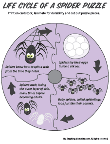 Тематическая неделька о насекомых и прочей мелюзге))