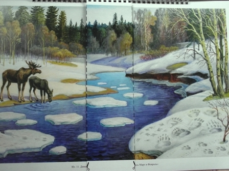 Добро пожаловать в экологию!