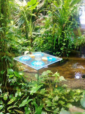 Тематическая неделька о насекомых и прочей мелюзге))