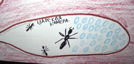 Тематическая неделька о насекомых и прочей мелюзге))