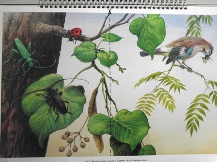 Добро пожаловать в экологию!