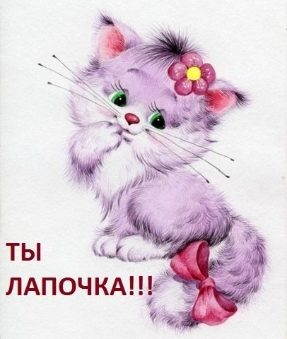 1bb516adb8d7ee87bc941b62dd3abefe.jpg
