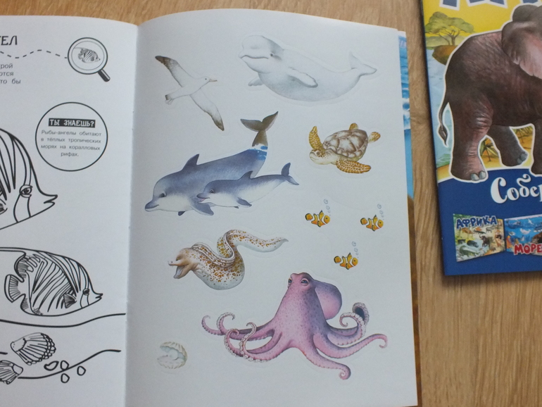 Пополнение библиотеки. Часть 4. Познавательная