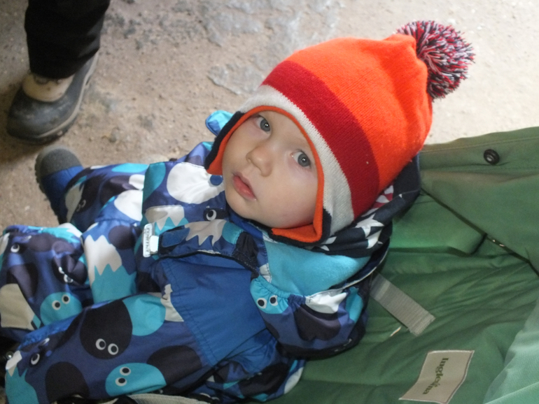 Прогулки с динозаврами) очень много фото