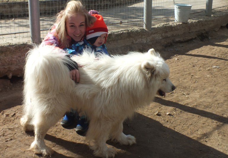 Прогулки с динозаврами) очень много фото