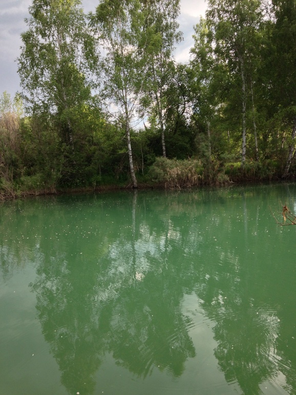 Протока Катуни.