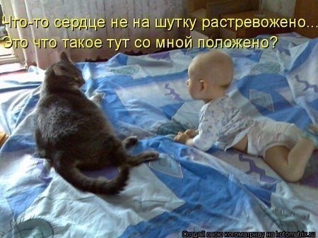 Веселые картинки