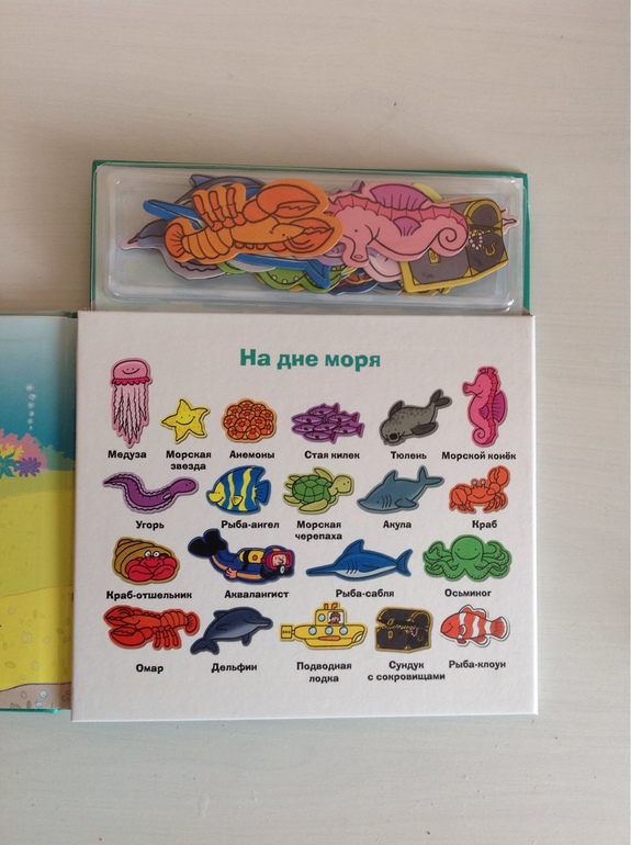 Магнитные книги-игры