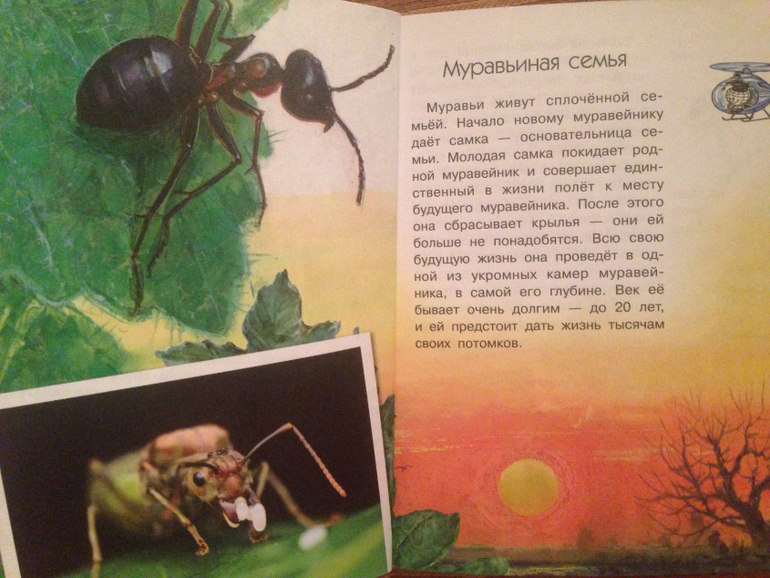 Новый муравейник изложение 3 класс план