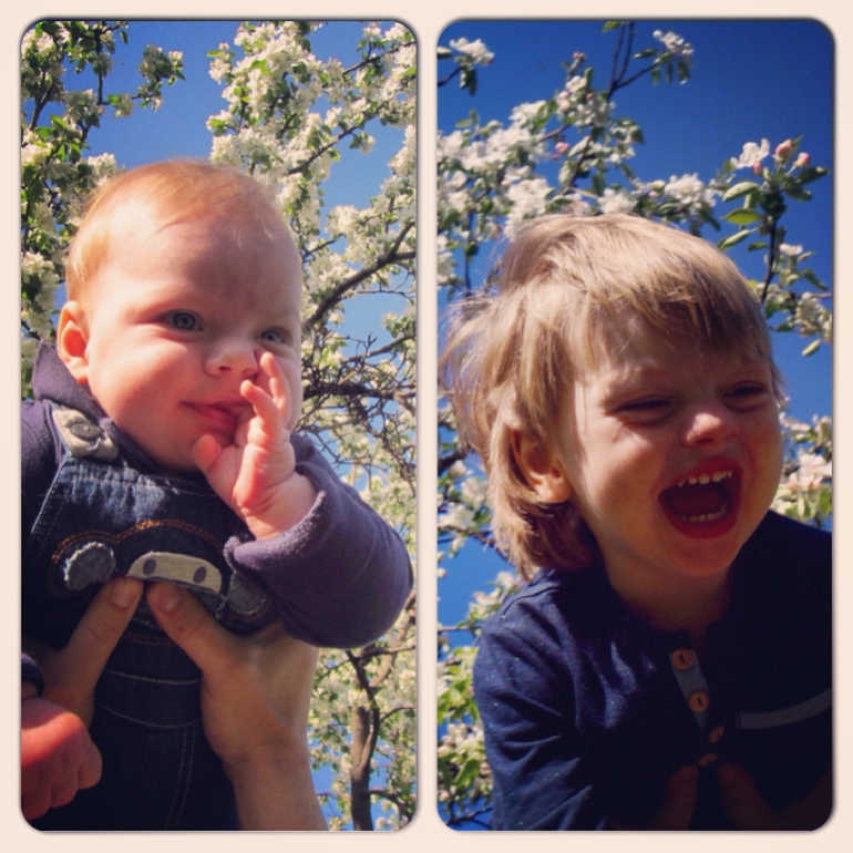 Коломенское. Традиционный майский пикник