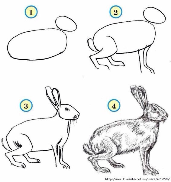Учимся рисовать