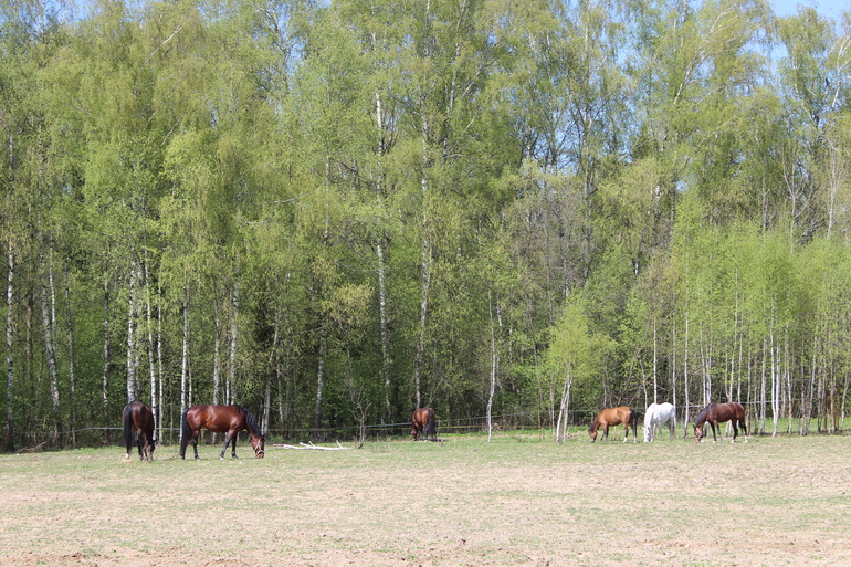 А на даче....