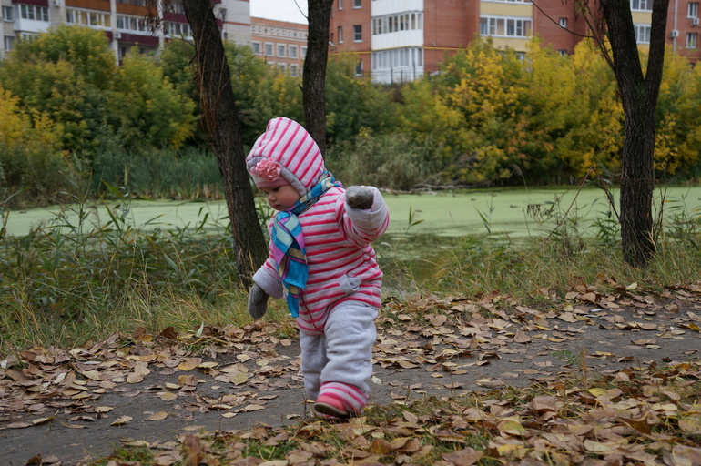 ВерОника и осень...