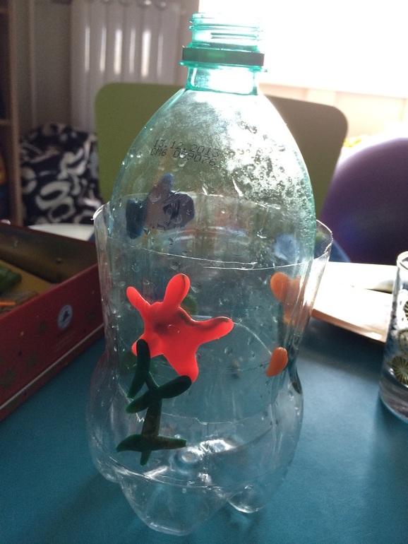 Морская неделька