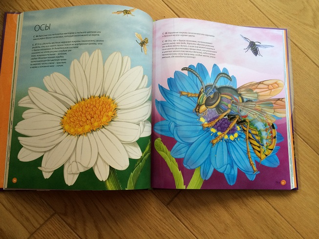 2D атлас Насекомые и пауки