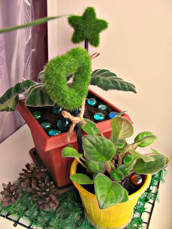 Мой Маленький Уголочек Лета!!!