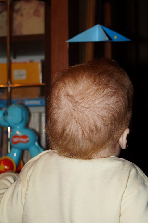 ТН Математика для малышей. День 1.