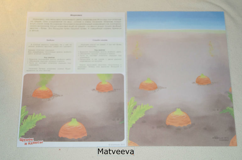 Комплекты творческих заданий