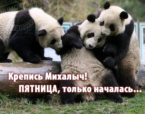 Настроение ББ, вернись))) У меня появилась фраза подходящая...
