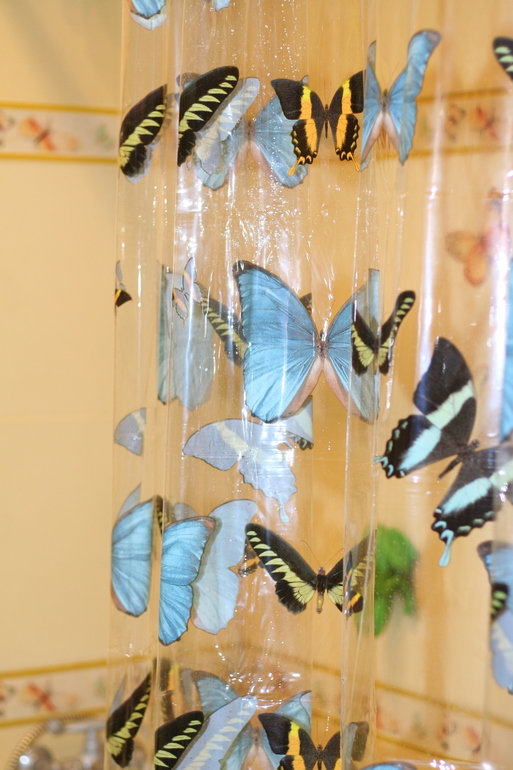 А к нам прилетели бабочки!